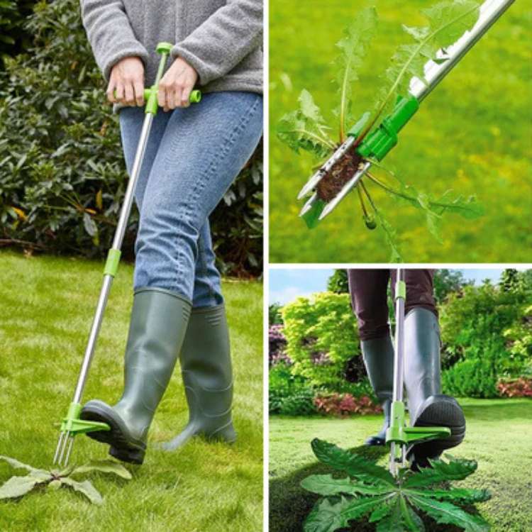 Stand-Up Weed Remover Tool with Root Extraction Claws for Lawns Gardens Flower Beds Patios Walkways Dandelion Thistle Removal | Thomler
