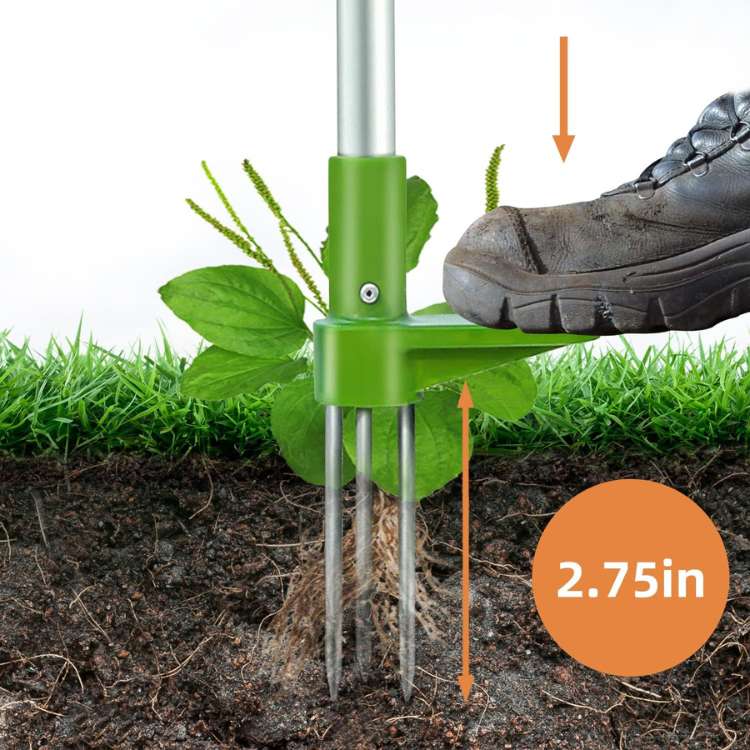 Stand-Up Weed Remover Tool with Root Extraction Claws for Lawns Gardens Flower Beds Patios Walkways Dandelion Thistle Removal | Thomler