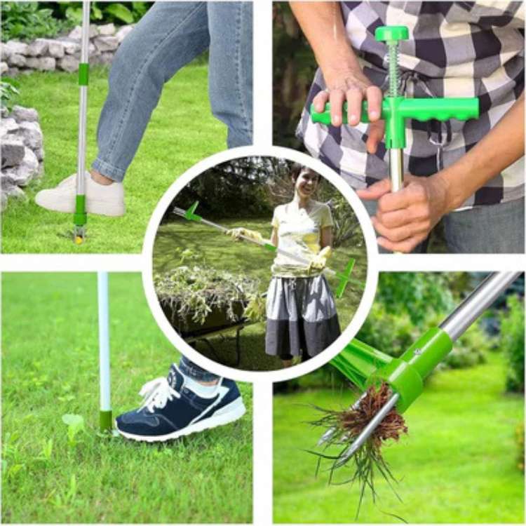 Stand-Up Weed Remover Tool with Root Extraction Claws for Lawns Gardens Flower Beds Patios Walkways Dandelion Thistle Removal | Thomler