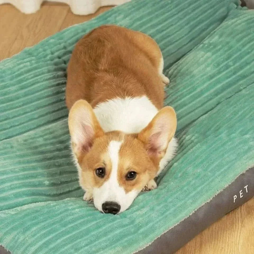 Dog Cushion Plush Orthopaedic Foam Soft Indoor Pet Bed Warm Sleeping Mat For Puppies Senior Dogs | Thomler