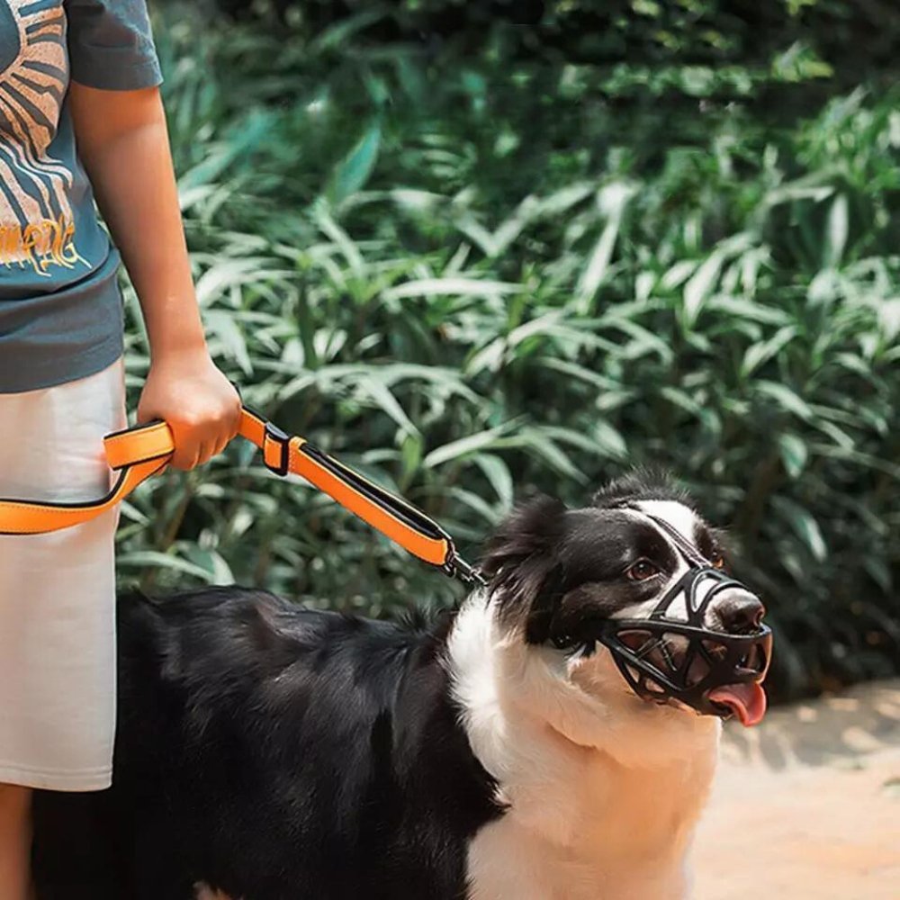 Breathable Mesh Dog Muzzle for Small to Extra Large Dogs | Adjustable Pet Safety Guard Prevents Biting Barking Chewing | Comfortable Lightwe | Thomler