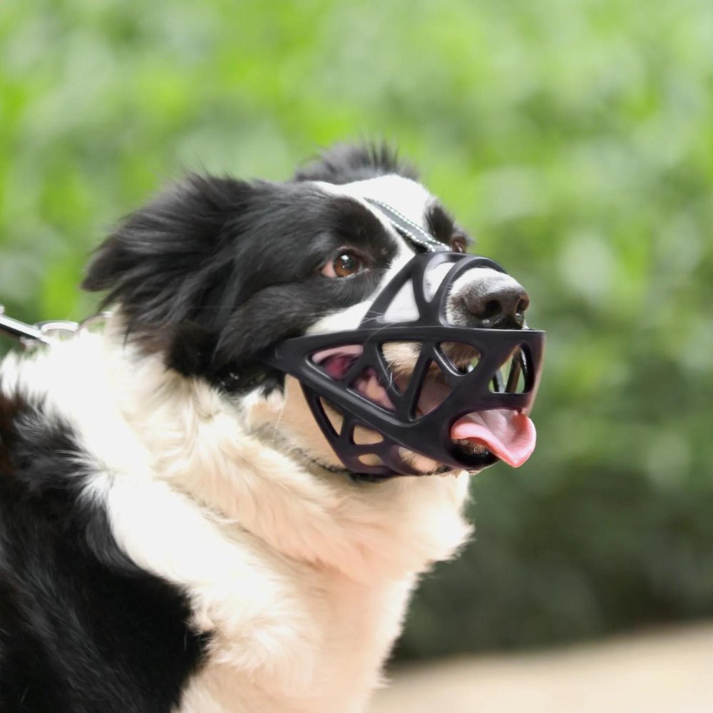 Breathable Mesh Dog Muzzle for Small to Extra Large Dogs | Adjustable Pet Safety Guard Prevents Biting Barking Chewing | Comfortable Lightwe | Thomler