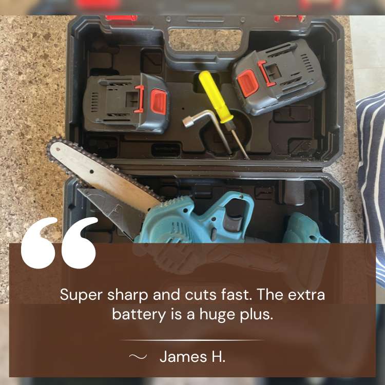 6-Inch Battery-Powered Mini Chainsaw for Yard Work, Cordless Compact Tree Trimmer Limb Saw Pruning Tool Home Garden Outdoor Use One-Handed | Thomler