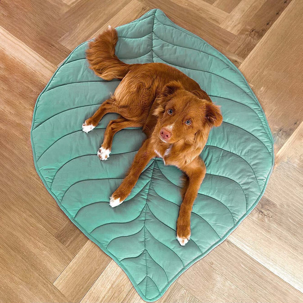Botanical Leaf-Shaped Pet Throw Blanket - Soft Cotton-Polyester Cover for Dogs & Cats - Machine Washable Couch Protector & Floor Mat for | Thomler