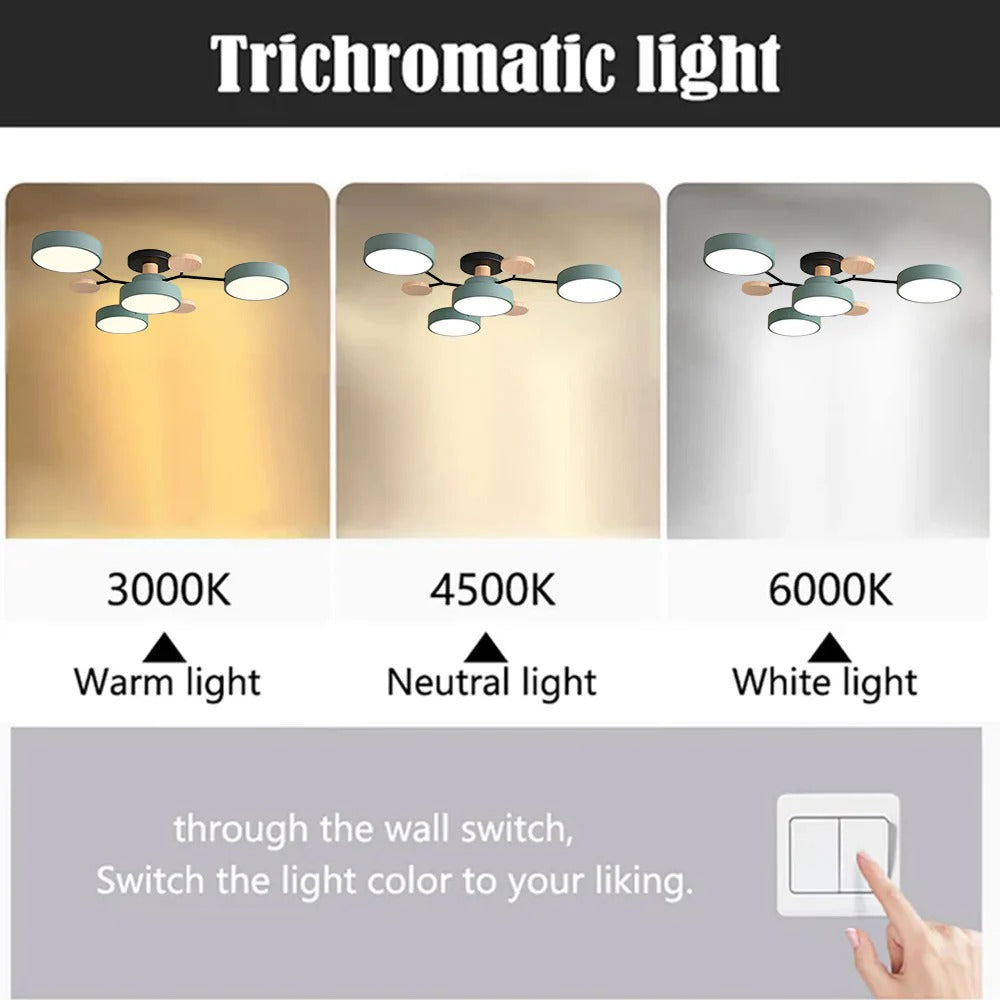 Semi-Flush Ring LED Ceiling Fixture – Multiple Rings, Iron & Acrylic, Dimmable Color Modes for Bedroom, Living Room & Hallway | Thomler