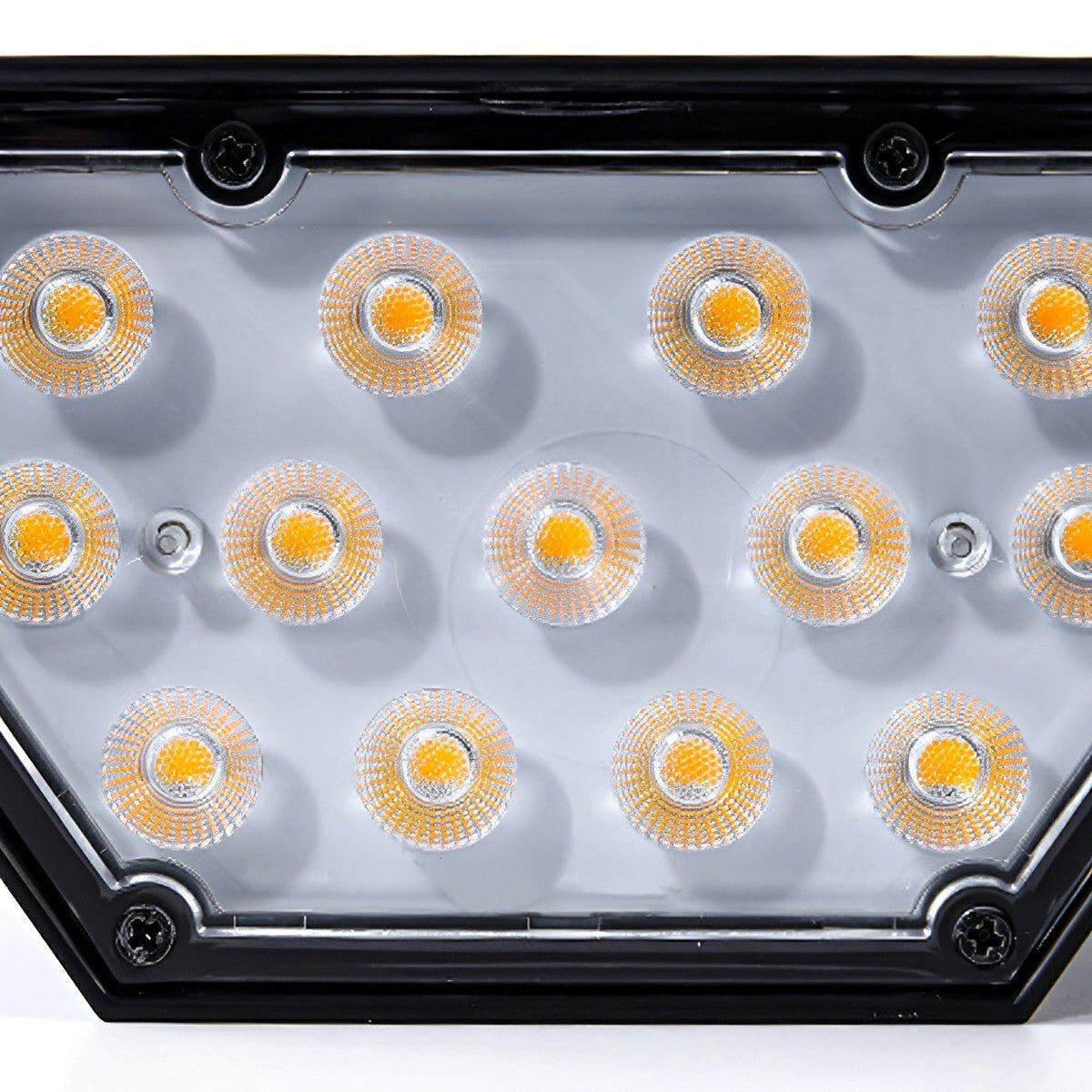 Weather-Resistant Ground-Mounted Accent Uplight for Trees & Shrubs – Solar-Powered Adjustable Garden Illumination | Thomler