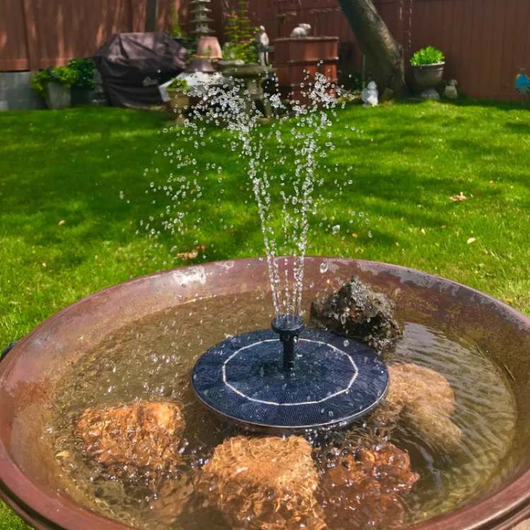 Floating Solar Fountain for Bird Bath Pond Pool Patio Garden Water Feature Outdoor Decoration Self-Contained Kit | Thomler