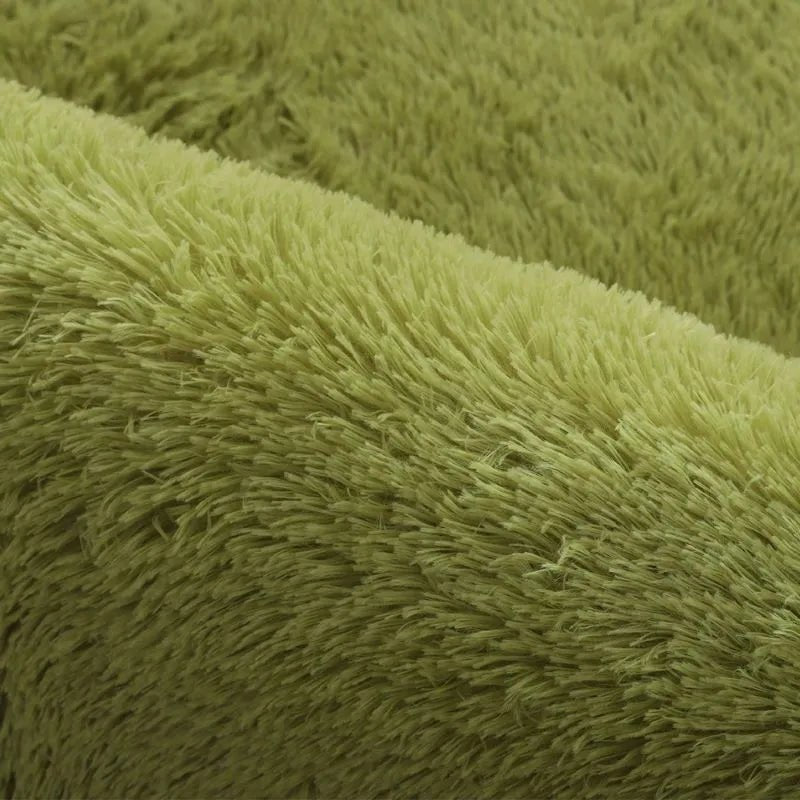 Plush Shag Area Rug for Living Room & Bedroom - Soft Non-Slip Floor Mat Polyester Carpet Runner for Home Decor | Thomler