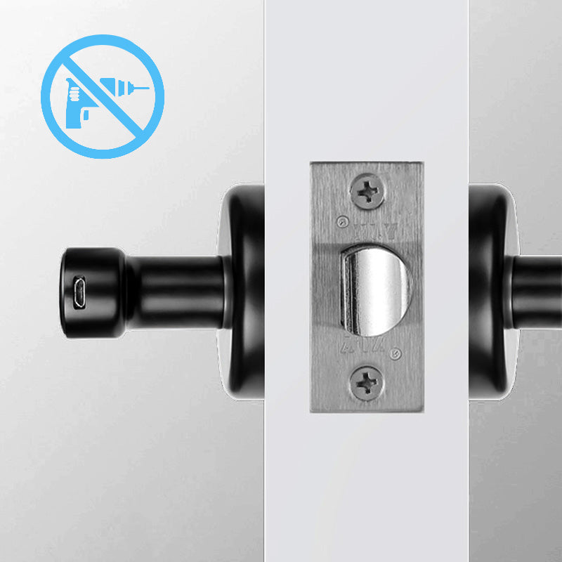Biometric Door Handle Lock with Fingerprint Scanner, App Control & Keypad Entry for Home Security | Thomler