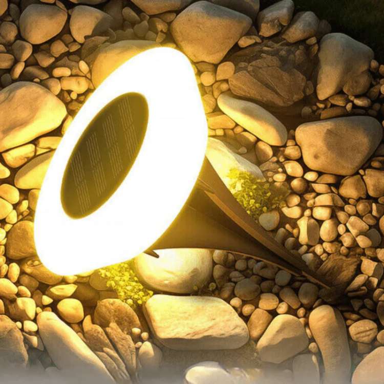 Solar Pathway Stake Lights for Garden, Yard & Walkway – Weatherproof LED Outdoor Lighting Set | Thomler