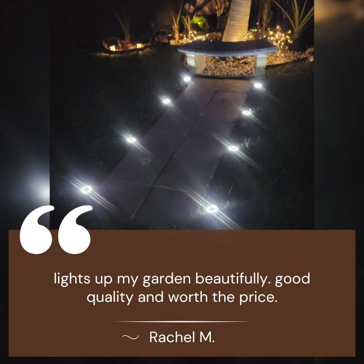 Solar Pathway Stake Lights for Garden, Yard & Walkway – Weatherproof LED Outdoor Lighting Set | Thomler
