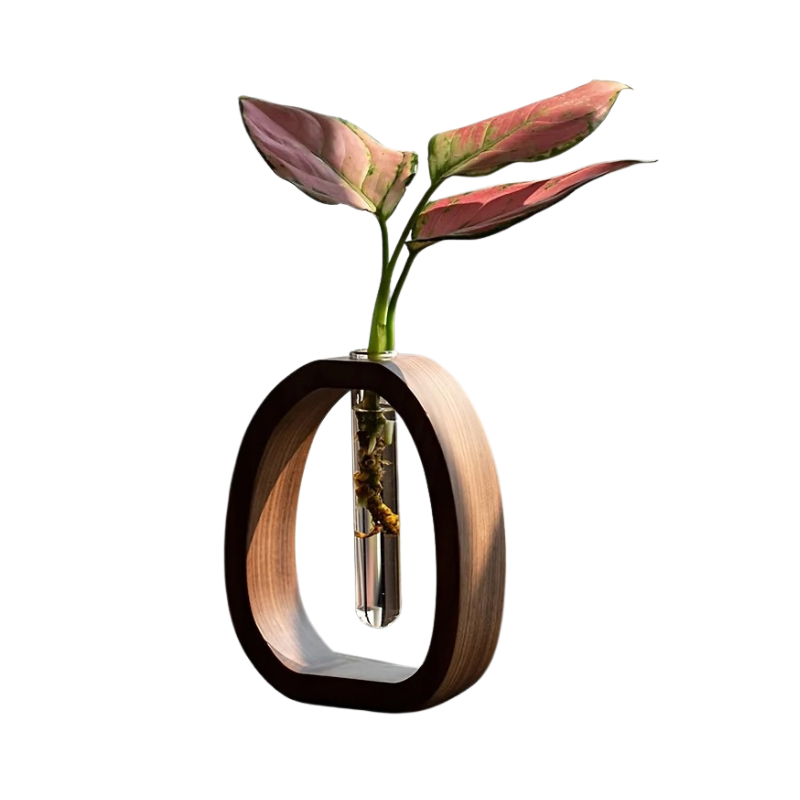 Glass Vase Plant Holder with Wooden Frame Stand for Hydroponics & Cuttings | Desktop Terrarium Display for Home Decor, Living Room & Office | Thomler
