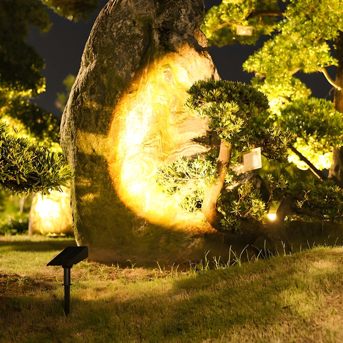 Adjustable Solar Garden Spotlight with Auto Dusk-to-Dawn Sensor – RGB & Warm LED Outdoor Accent Light for Lawn, Path, Plants | Thomler