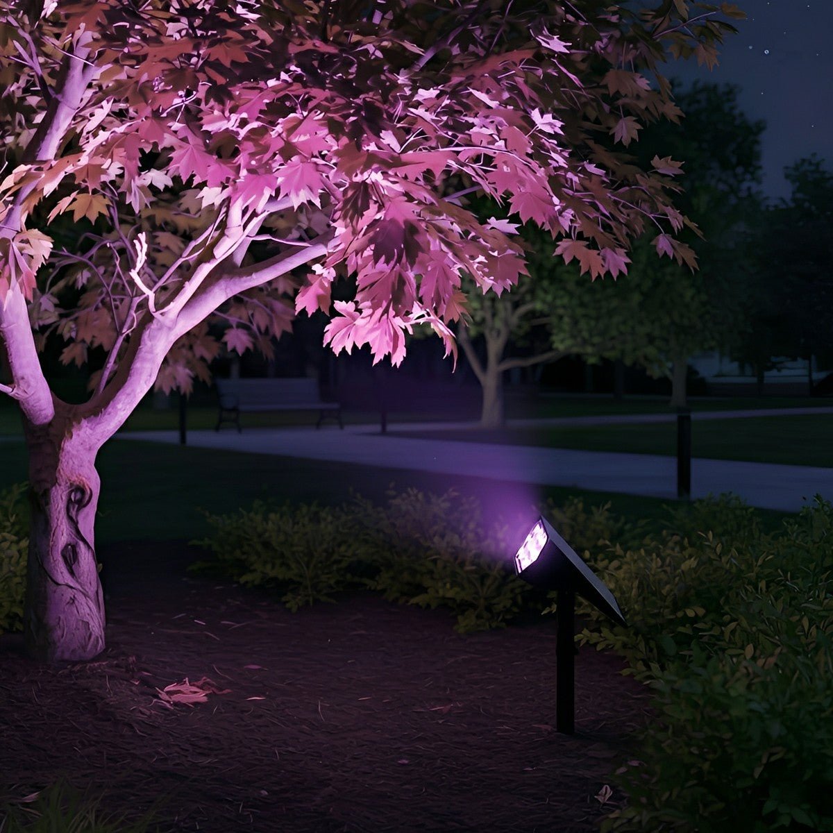 Solar-Powered LED Accent Light for Yards, Patios & Gardens – Directional Ground or Wall Mount | Thomler