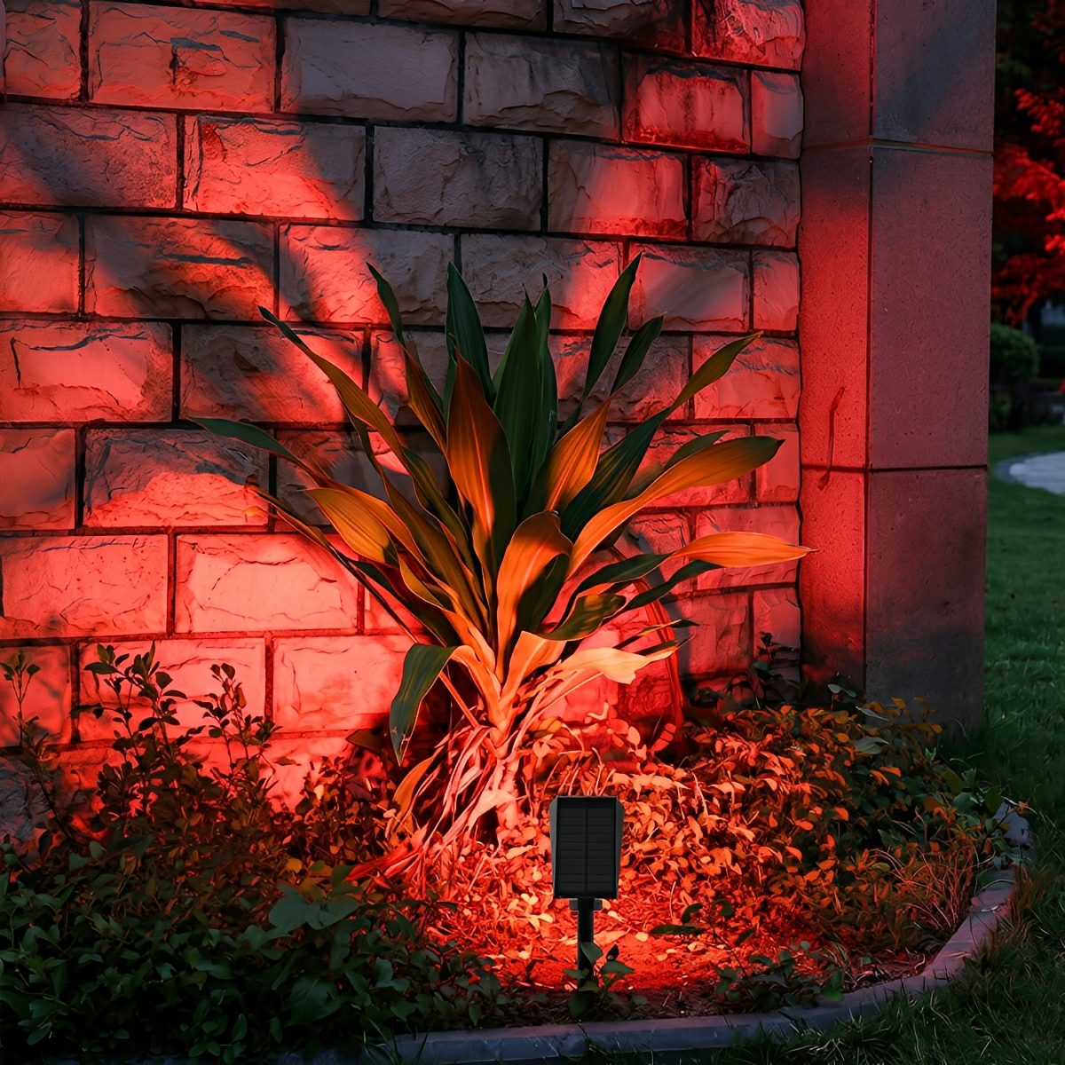 Solar-Powered LED Accent Light for Yards, Patios & Gardens – Directional Ground or Wall Mount | Thomler