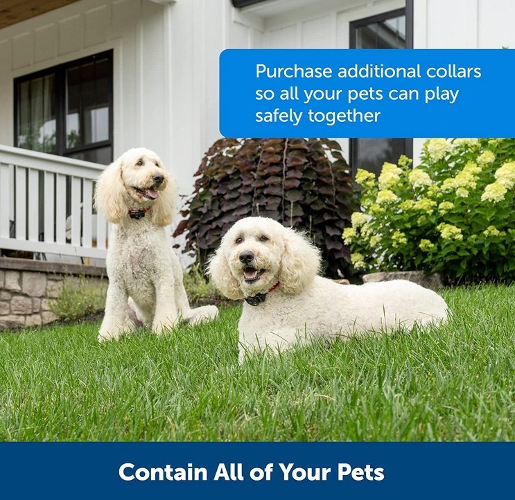 GPS-Free Pet Containment System with Rechargeable Receiver Collar for Dogs 10-110 lb | Thomler