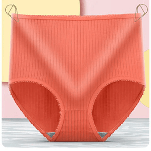 Period-Proof Briefs 3-Pack for Women – Absorbent & Soft Everyday Protection | Thomler